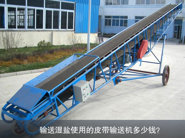 濕鹽皮帶輸送機(jī)