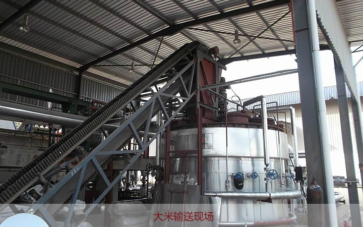 Z型提升機(jī)應(yīng)用領(lǐng)域